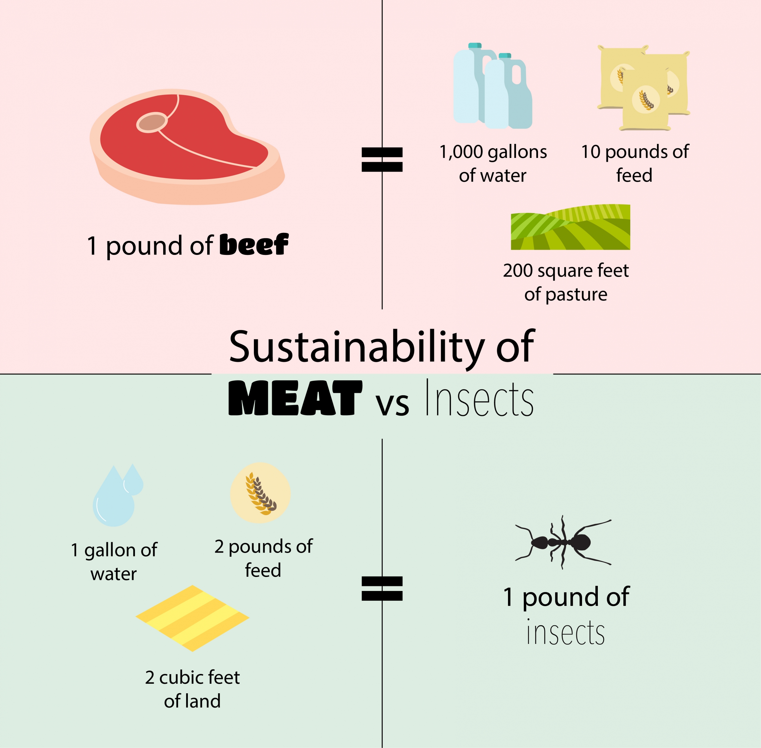 Infographic comparing the water, feed, and land needs of cattle against the same needs for bugs farming